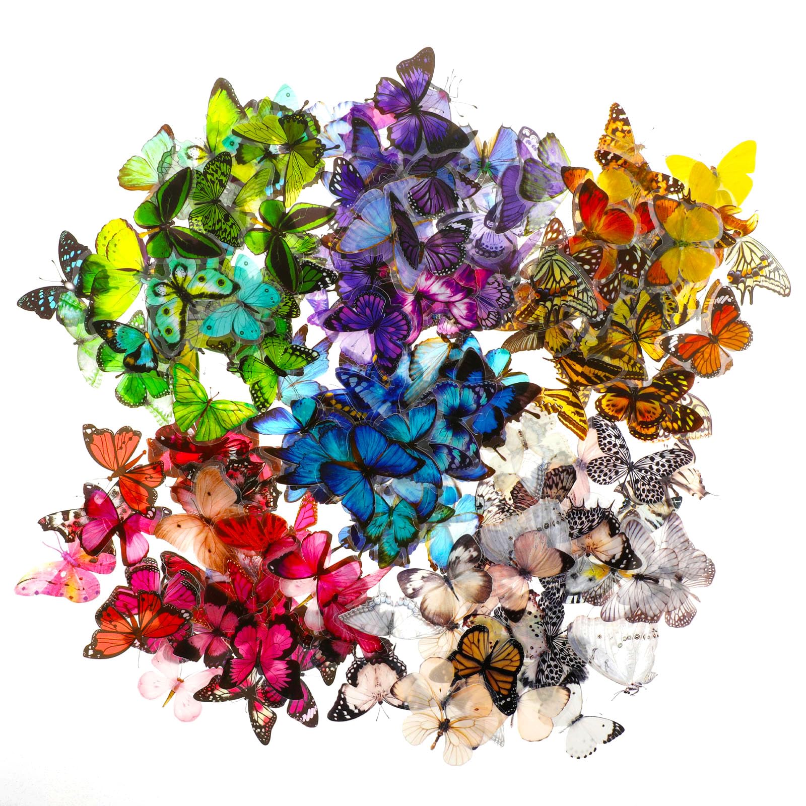 Gjinxi 240 piezas mariposa pegatina colorida mariposa pegatina PET impermeable transparente decorativo vinilo decorativo pegatina bicicleta para motocicleta Scooter Skateboard portátil caravana