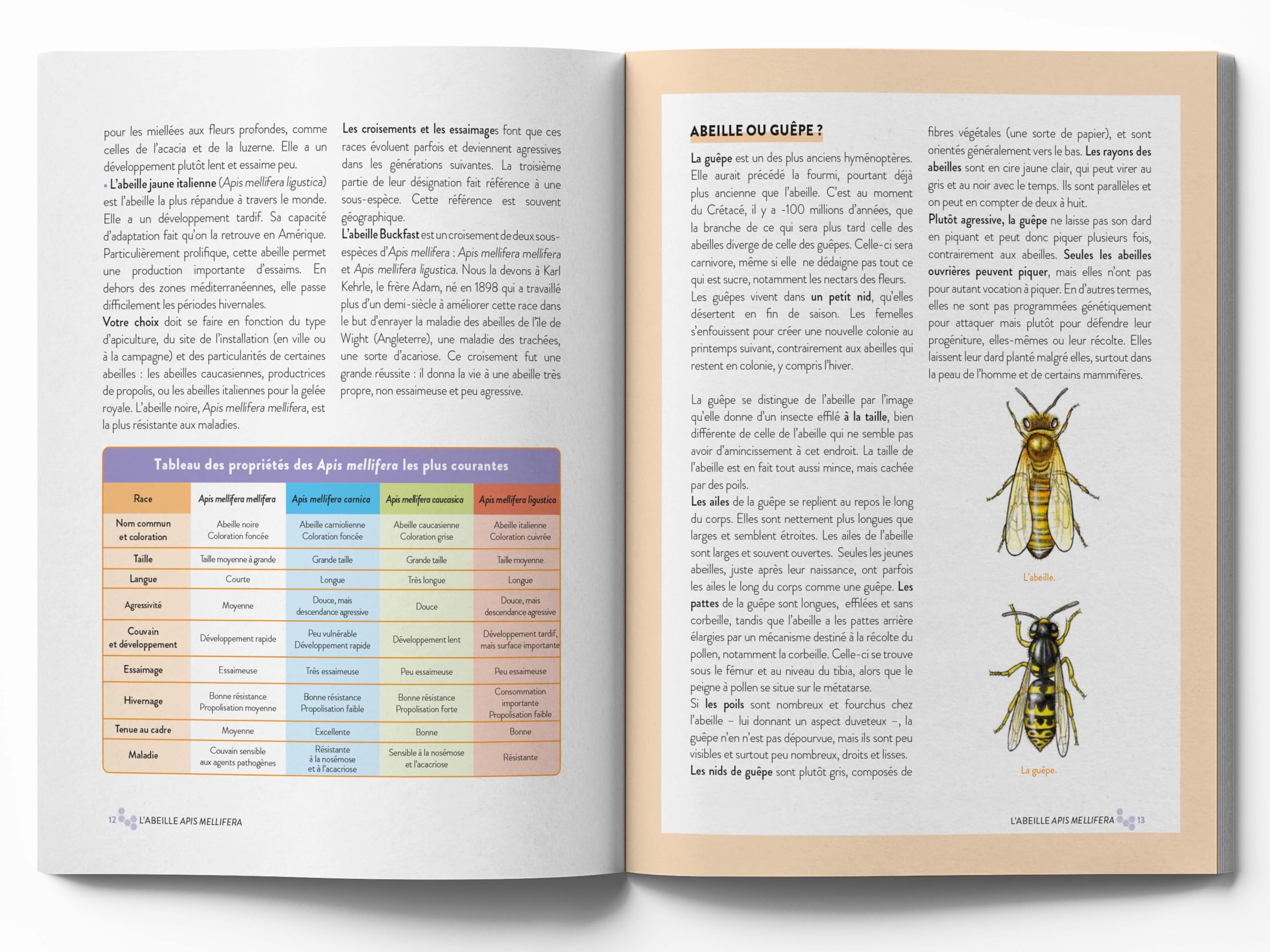 Le grand guide visuel de l'apiculture: Les techniques apicoles pour conduire un rucher