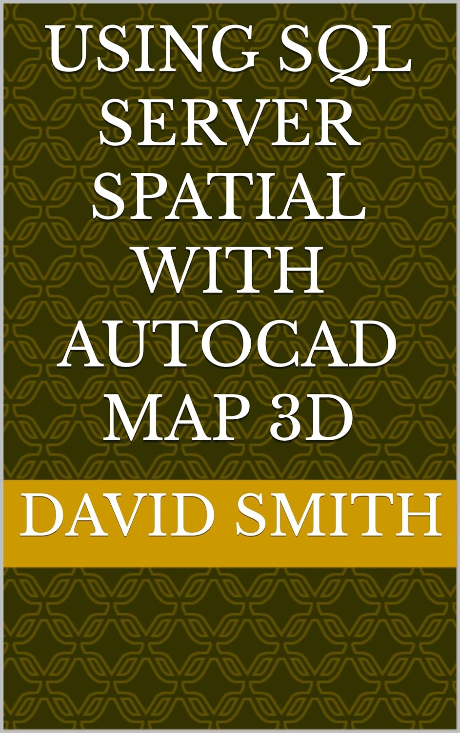 Amazon.com: Using SQL Server Spatial with AutoCAD Map 3D eBook : Smith ...