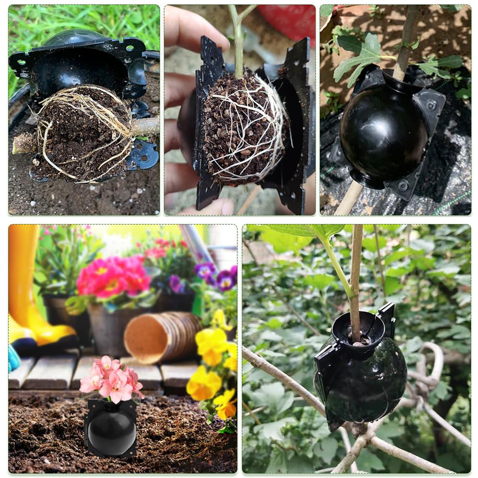 30 Piezas Dispositivo de Injerto de Plantas Caja Cultivo Raíces Plantas con Bridas de Cable Dispositivo de Enraizamiento de Plantas Reutilizable Bola Propagación Alta Presión (Negro)
