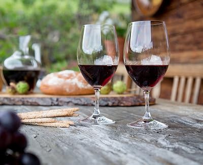 Verre Riedel Ouverture Magnum, lot de 2-6408/90