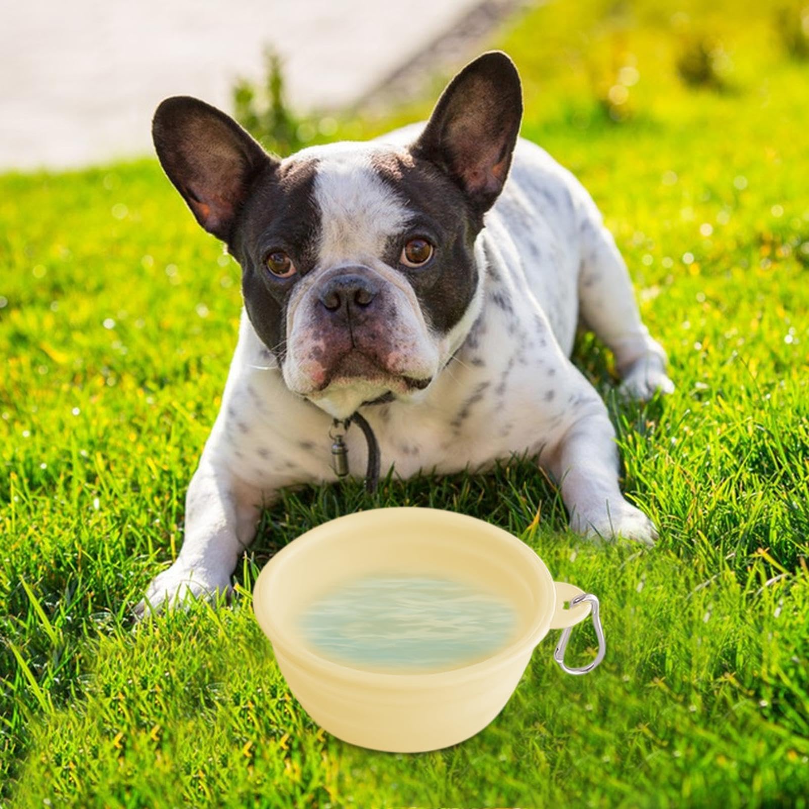 Zusammenklappbare Hundenäpfe,Faltbarer Wassernapf für Hunde