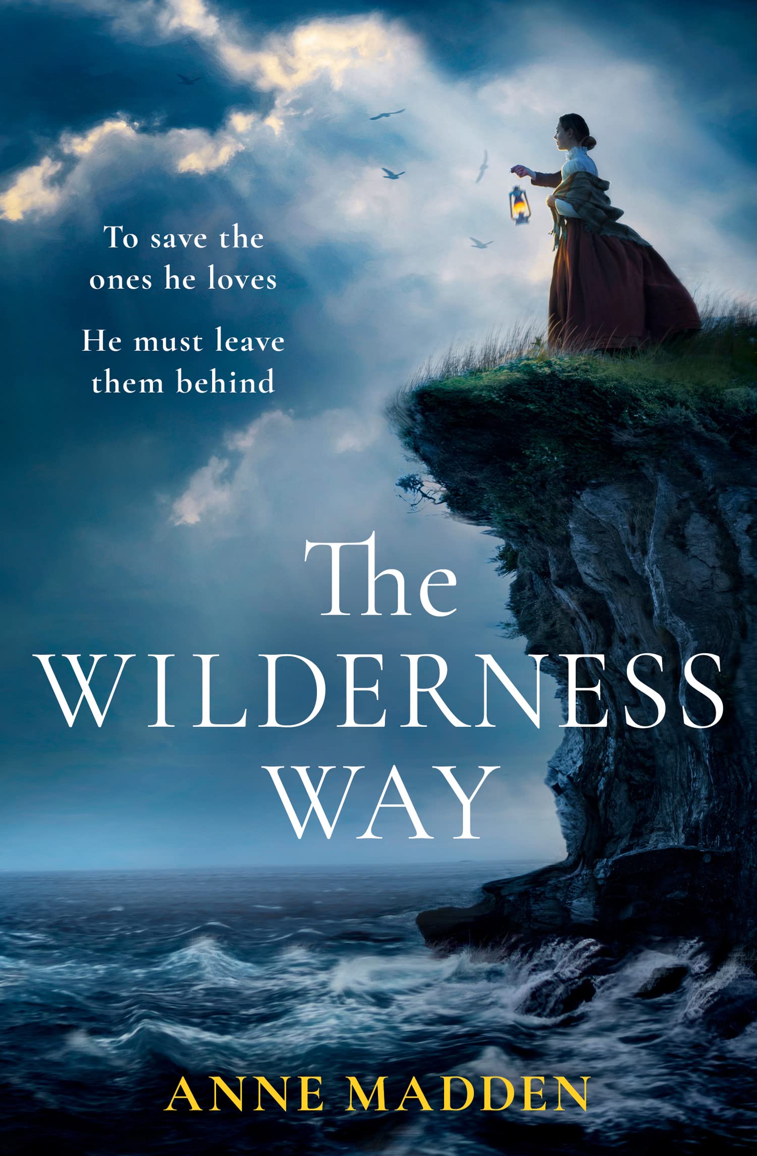 The Wilderness Way by Anne Madden PAPERBACK 9780008535315