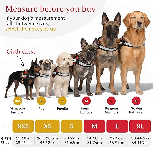 Miniatura 3 de ALBCORP - Arnés-chaleco reflectante para perro de servicio, hecho de poliéster y nailon, cómodo acolchado de malla, color rojo y negro