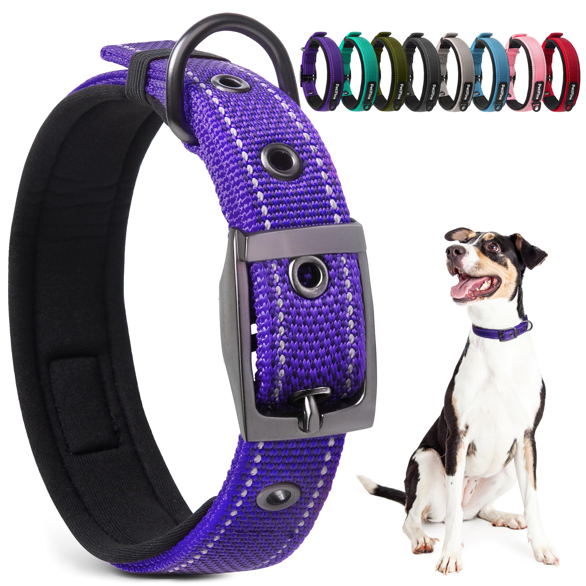 Collier pour chien en métal durable PetiFine avec rembourrage néoprène