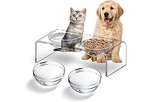 Clear Dog Bowl Stand with Elevated Feeding Platform