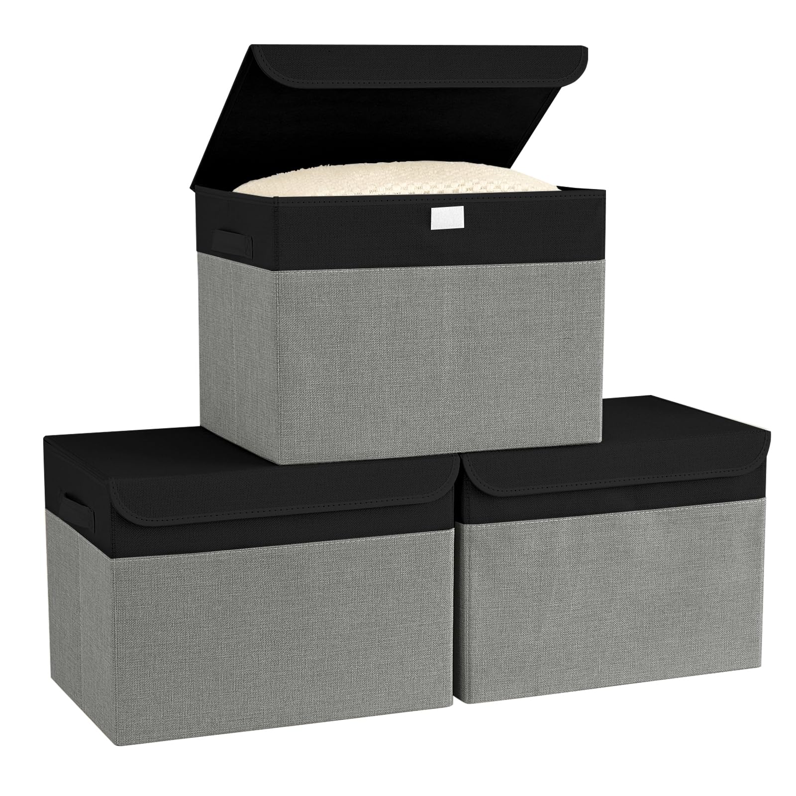 Bagnizer Aufbewahrungsboxen mit Deckel