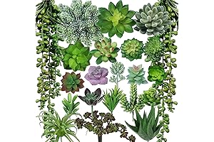 Winlyn 22 Pcs Artificial Succulent Plants