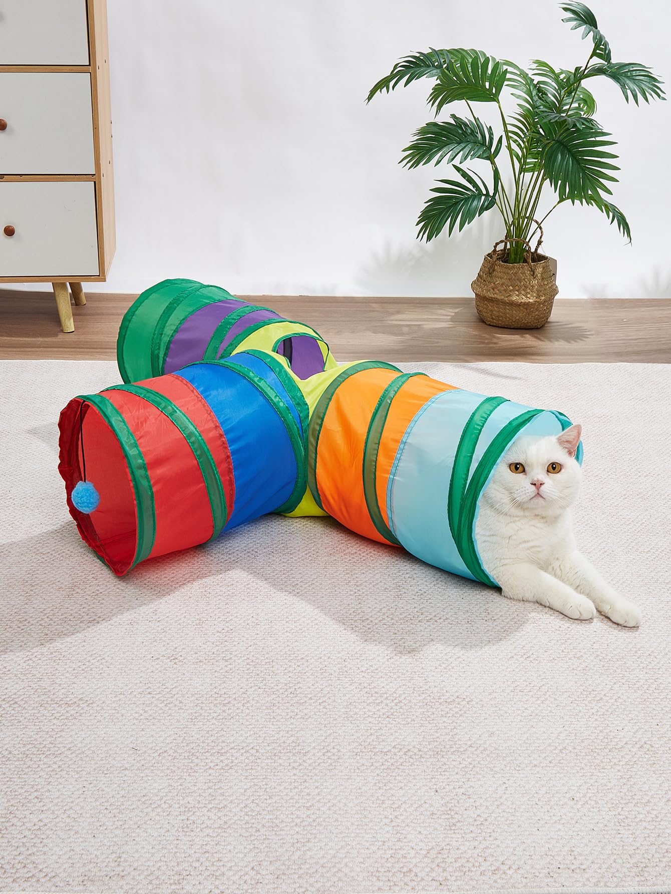 Giocattolo per gatti arcobaleno, tunnel pieghevole per gatti, multicolore a righe con accenti verdi, giocattolo interattivo per animali domestici
