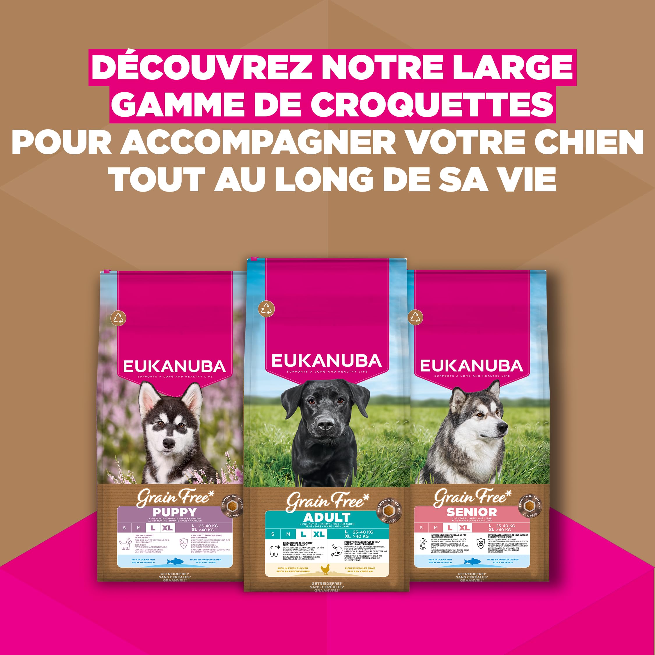 EUKANUBA Chien Adulte Petite/Moyenne sans Céréales Poulet 12 kg
