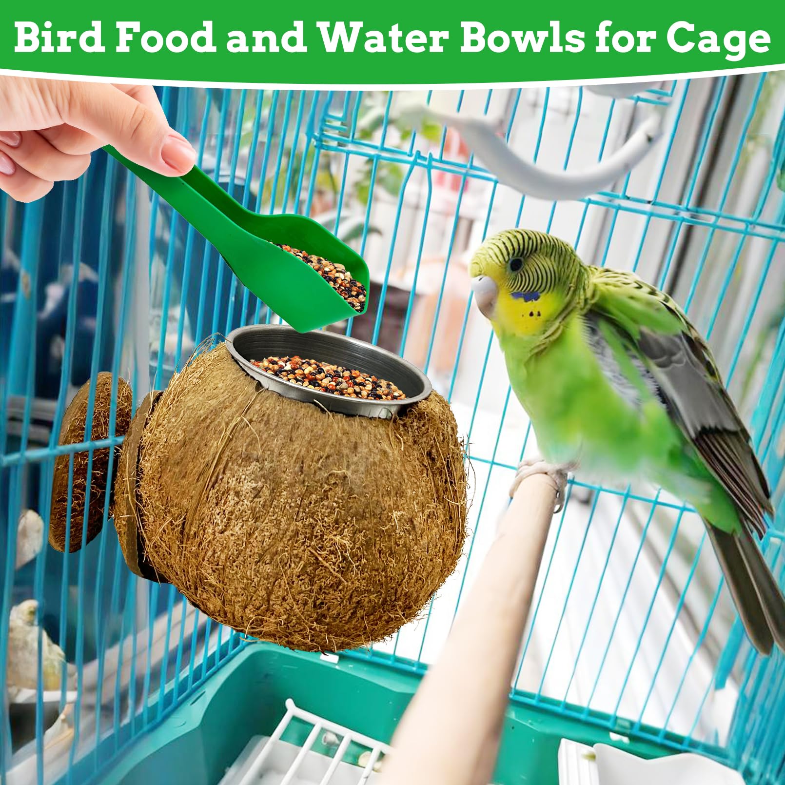 Coconut Bird Bowls for Cage 2-in-1 Coconut Shell Birds Feeder Set of 2 Hanging Parrot Cage Feeders Natural Parakeet Food and Water Dishes for Lovebirds Finches Budgies Cockatiels - image 3