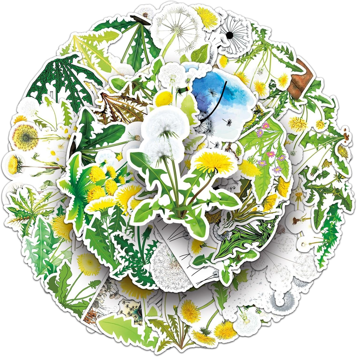 50 Pcs Dandelion Stickers - Waterproof Vinyl Flower Stickers for Skateboard, Laptop, Fridge, Phone & Luggage (Assorted Watercolor Designs) (Dandelion)