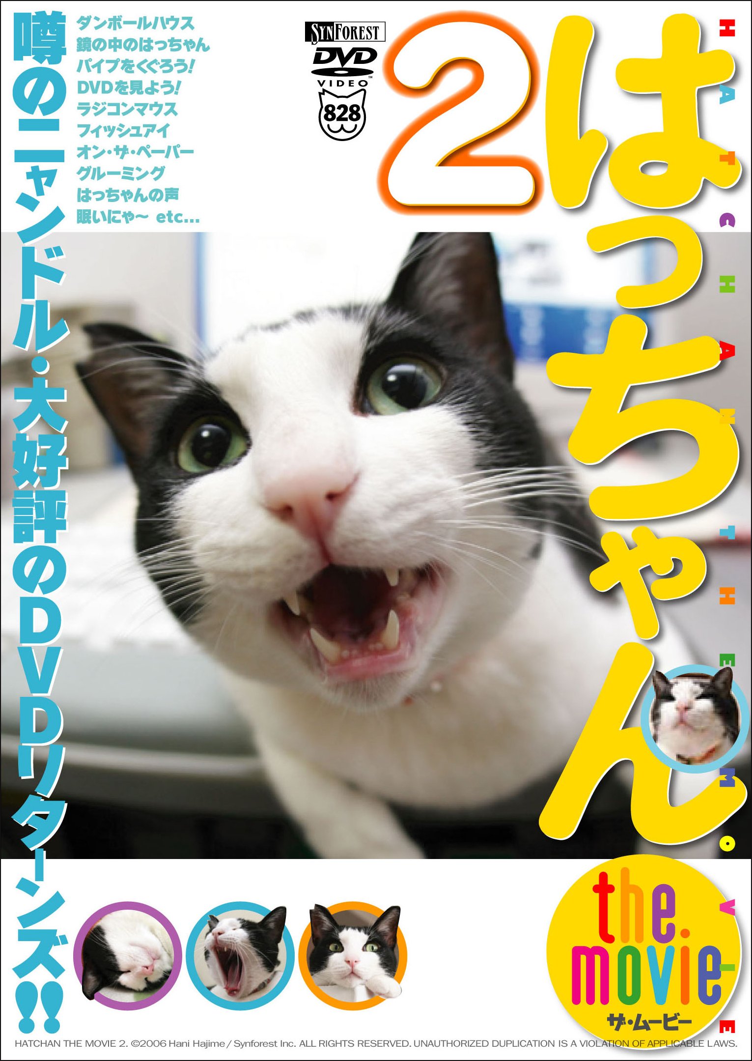 はっちゃんです 81hY524FzkL.jpg