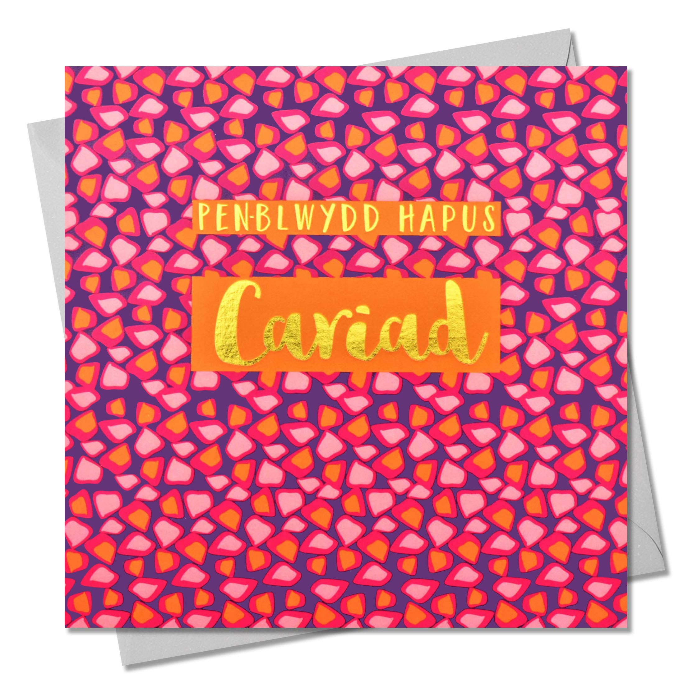 Claire Giles Greeting Cards, Welsh Happy Birthday Girlfriend Card, Penblwydd Hapus Cariad, Text Foiled in Shiny Gold