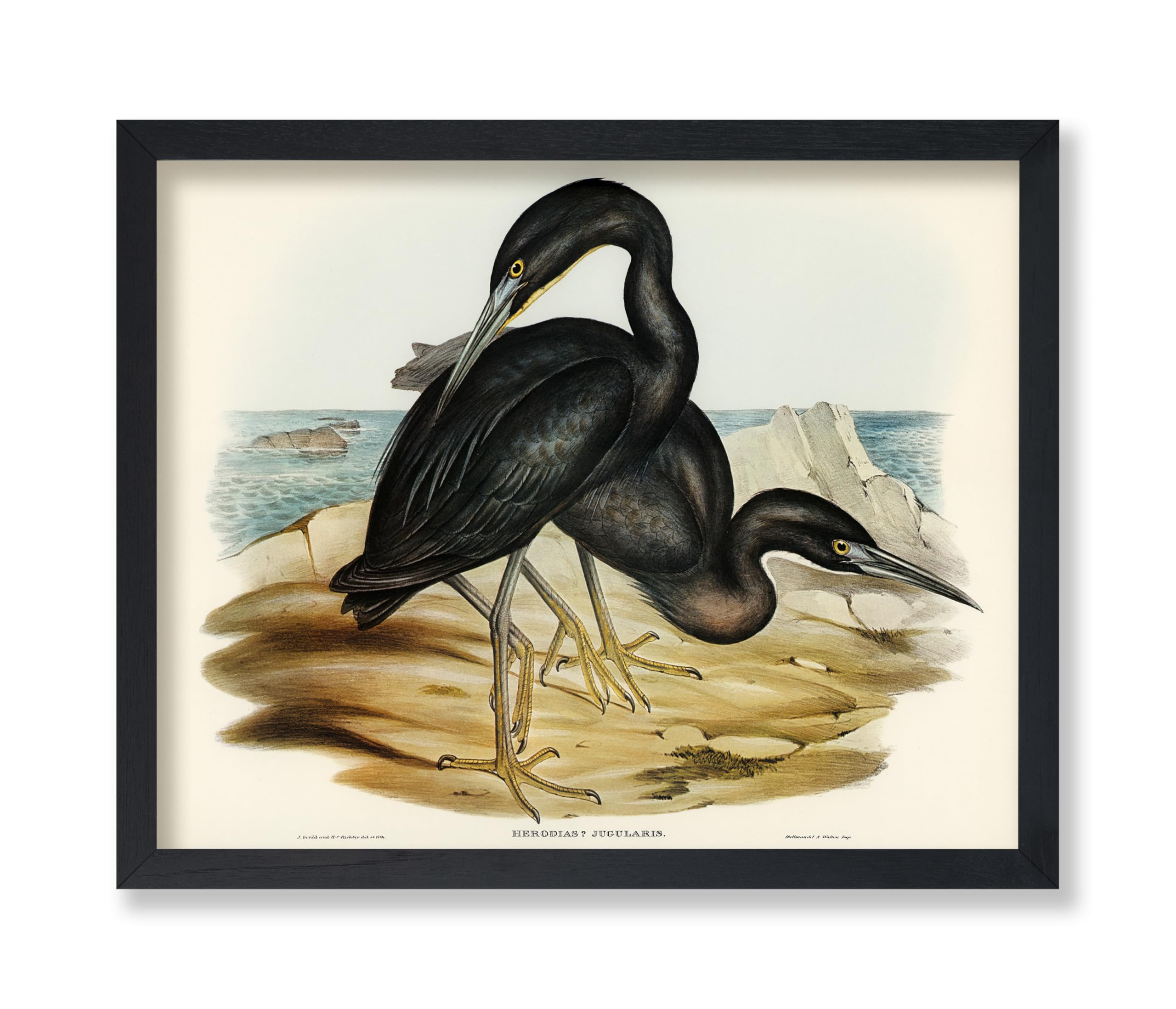 Giosve Blue Heron Round Wall Art – 10x10 Inch Framed Canvas, Vintage Farmhouse Decor For Living Room, Bedroom