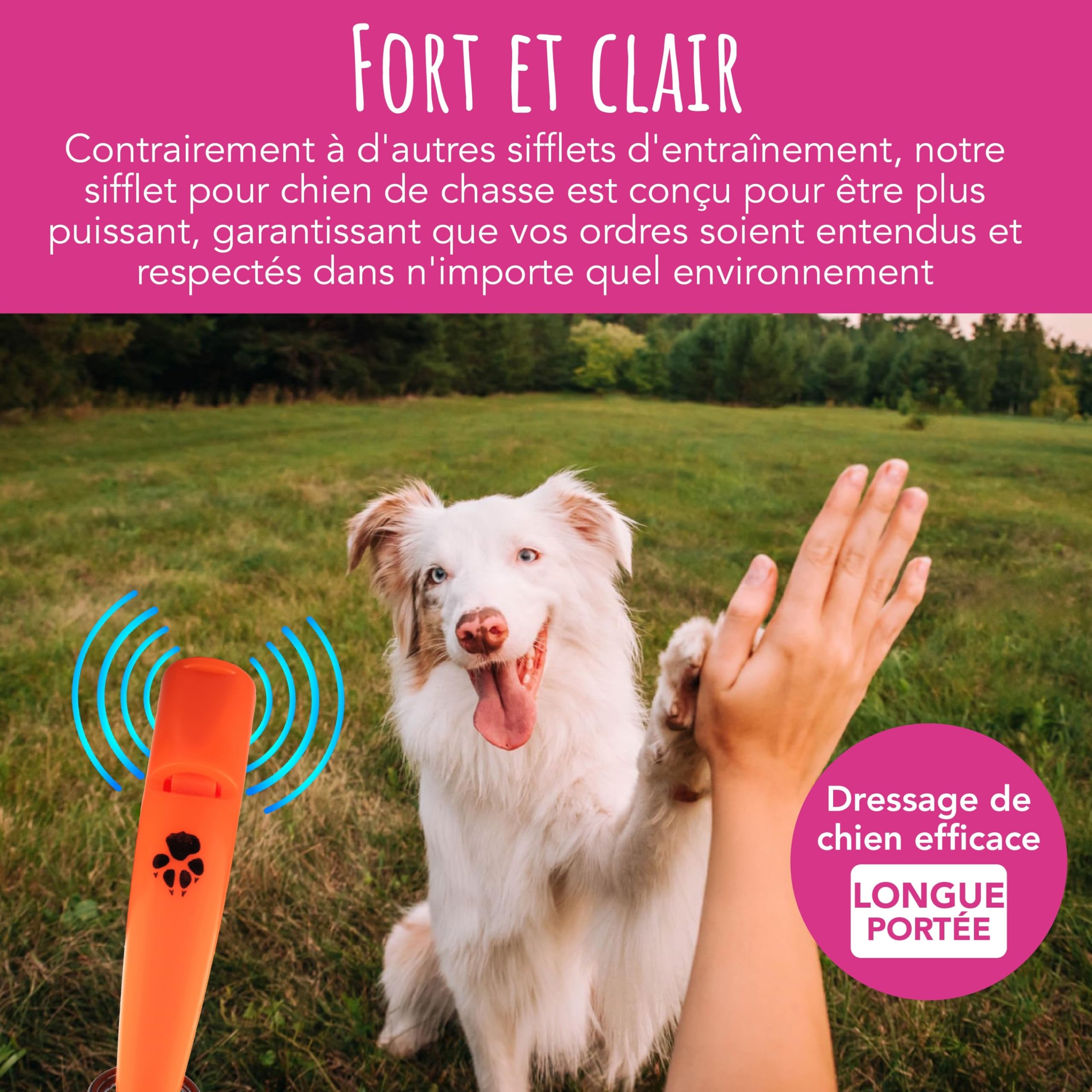 Sifflet d'entraînement pour chiens de chasse TDL avec lanière - Sifflet pour chien avec un ton fort et solide et un son à longue portée - Sifflet de rappel pour chien haute fréquence idéal pour la