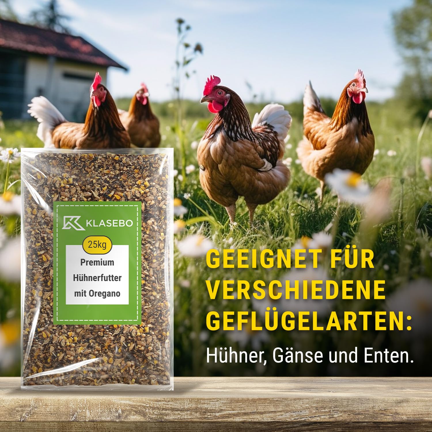 Produktbild von MeineHennen Oregano PUR – 1kg Eimer, Einzelfuttermittel Für Hühner & Wachteln, 100% Oregano
