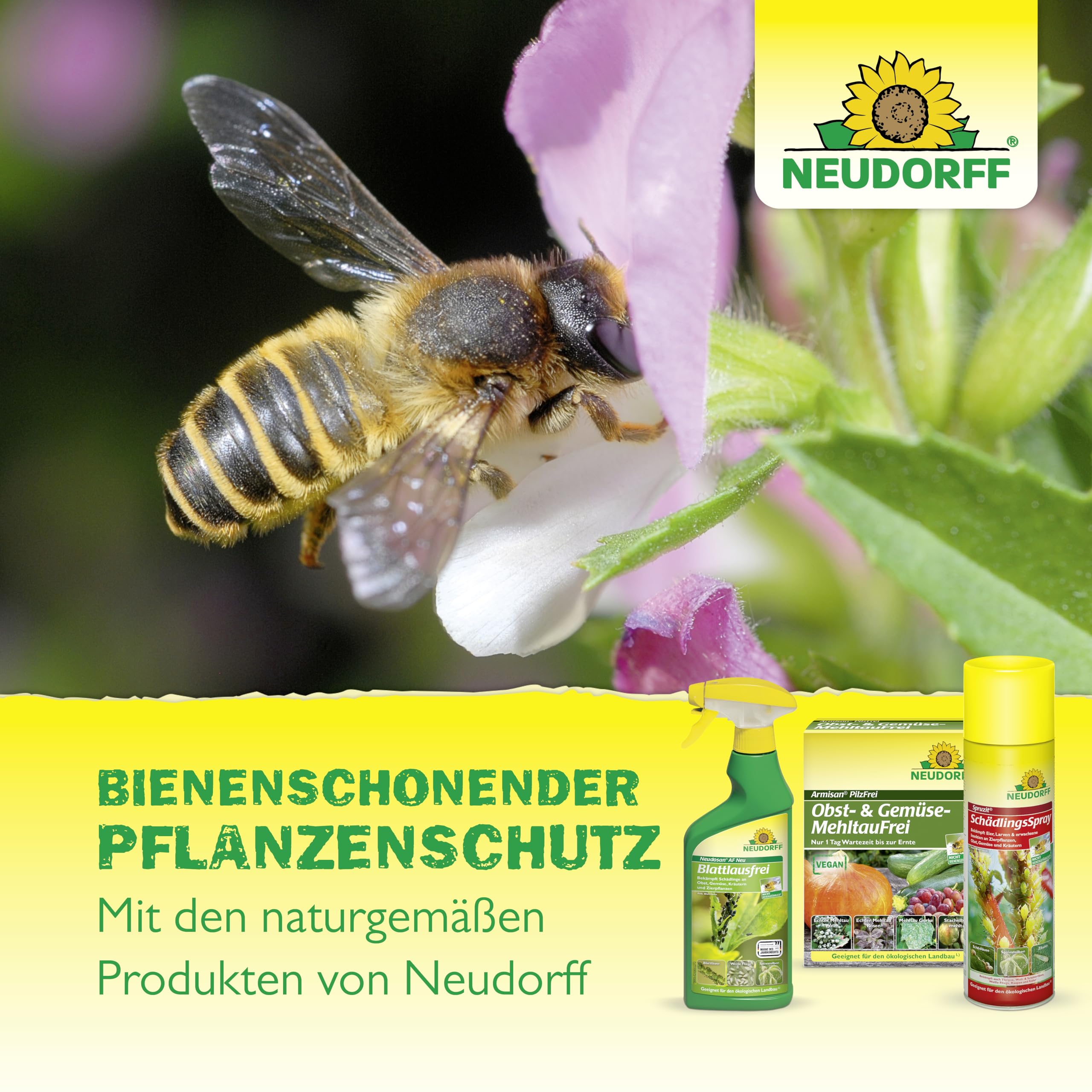 Neudorff Spruzit NEEM - Concentrato per la lotta contro parassiti come afidi, moscerini e bruchi su verdure ed erbe, 75 ml