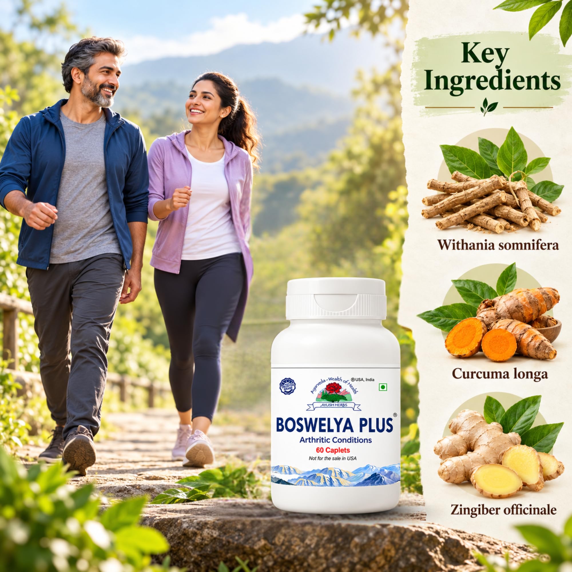 Ayush Herbs Boswelya Plus Bone and Joint Wellness Tablet|For Inflammation Relief and Joint Health,(60 Tablets) — Amazon image 7