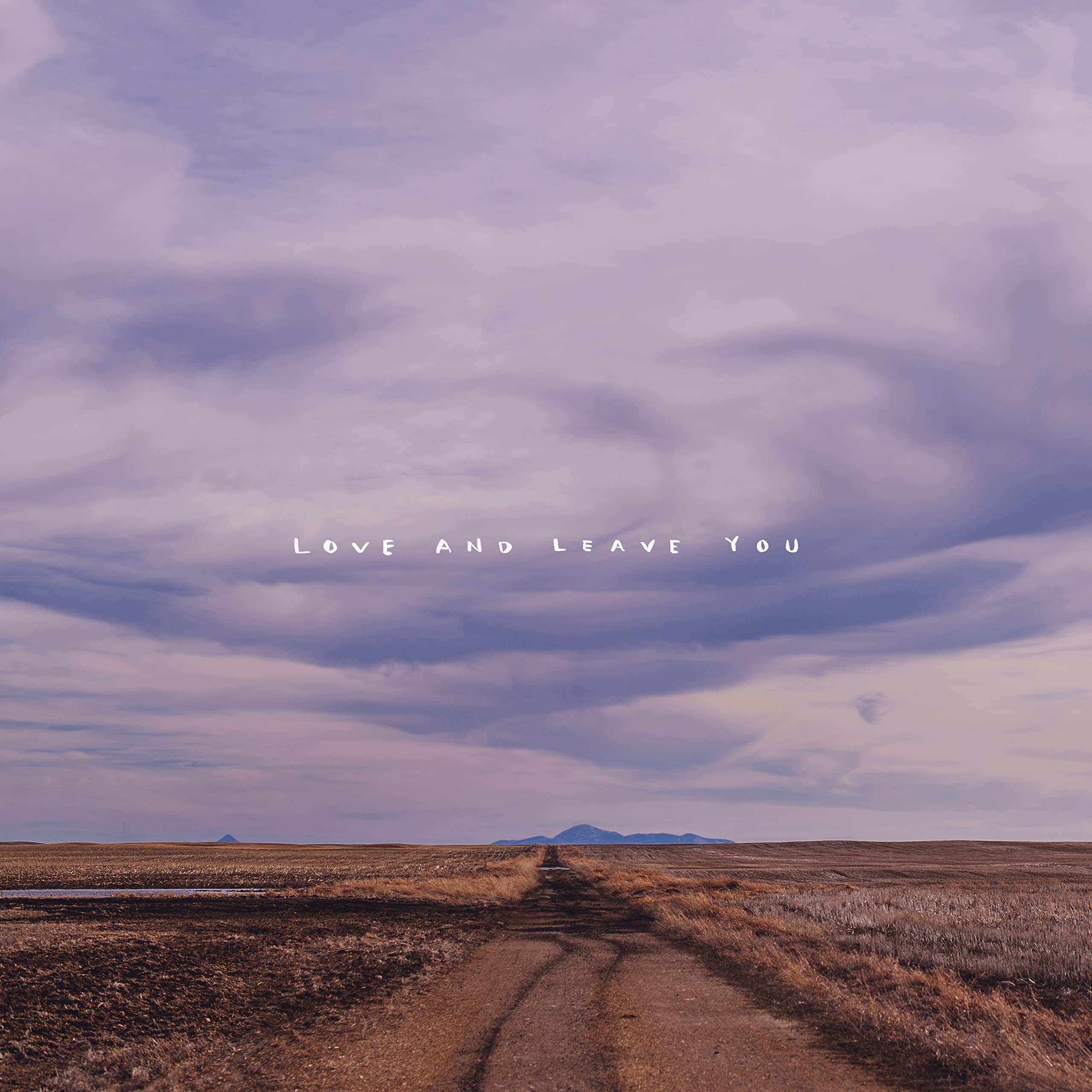 Love And Leave You [VINYL]