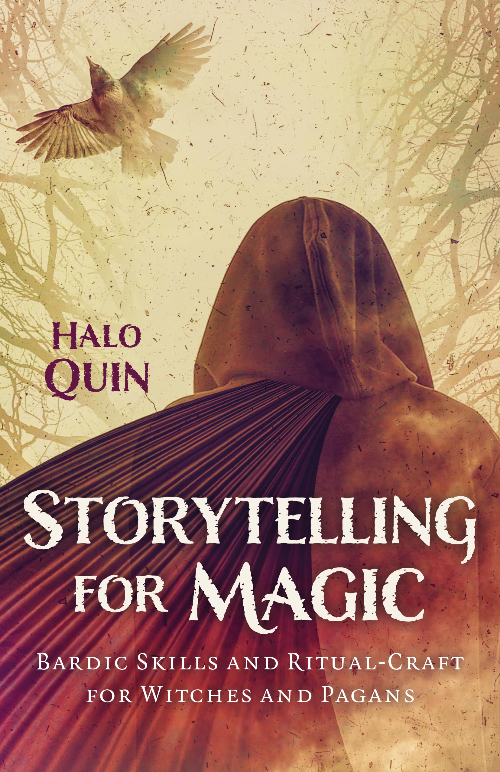 Storytelling for Magic by Halo Quin PAPERBACK 9781803414065