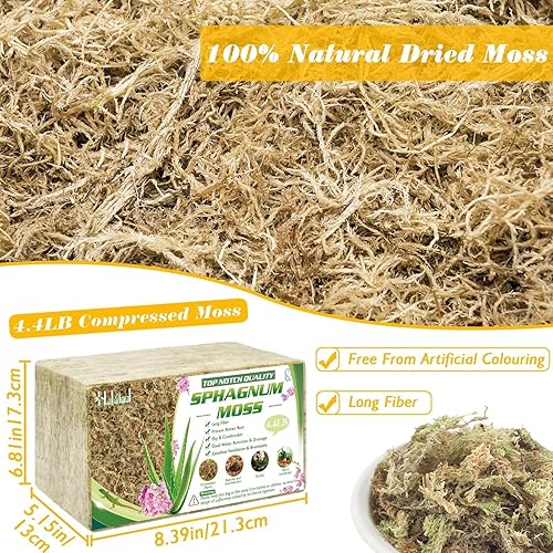 Miniatura 2 de Halatool Musgo natural de esfagno de 4.4 libras para plantas, 85 cuartos de galón, turba de primera calidad, secado con musgo de fibra larga, musgo