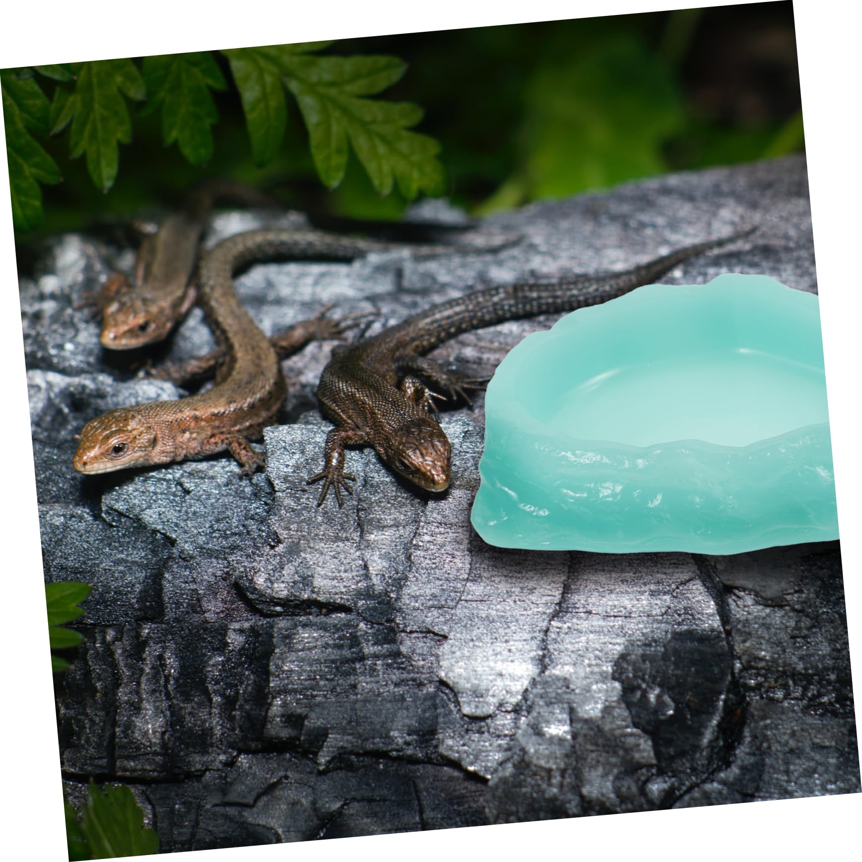 Hemobllo Ciotola d'Acqua Notturna per Rettili, Resina, Verde Chiaro | Forma a Vasca, Anti-rovesciamento, per Cibo o Liquidi, Adatta a Piccoli Animali e Lucente al Buio