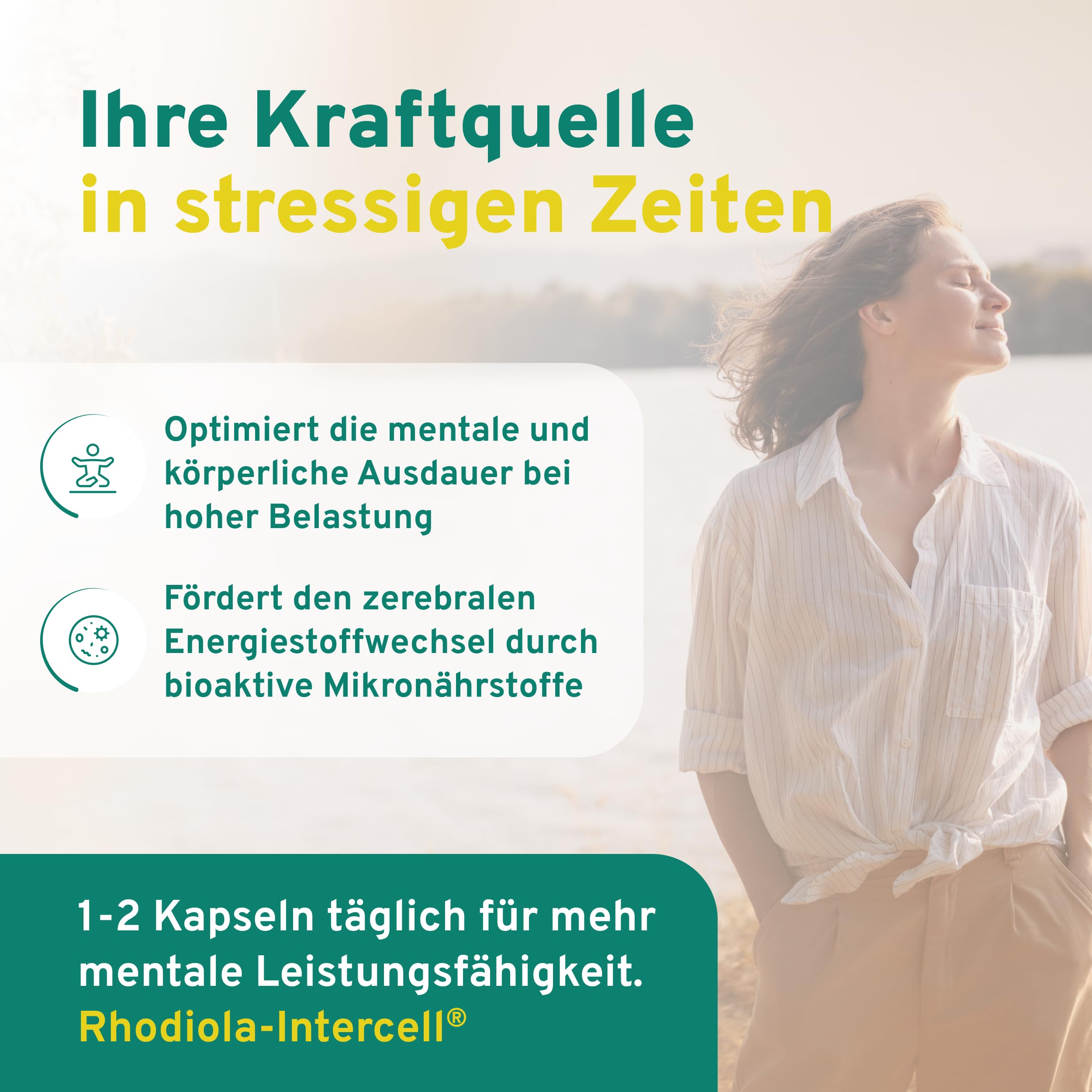 Rhodiola Intercell mit B-Vitaminen für das Nervensystem und Verringerung von Müdigkeit & Erschöpfung (60 Kapseln) - Rosea Extrakt mit Magnesium hochdosiert, Vitamin B1, B6, B12 & Vitamin D3