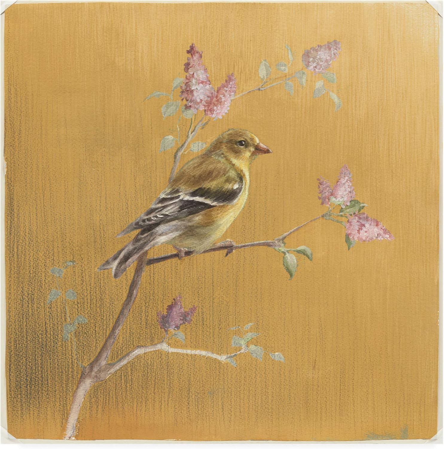14" x 14" Gold Canvas Art with Female Goldfinch