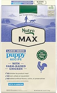 Best Puppy Food for Labs 5 81hZ c+s6YL. AC SY300 SX300
