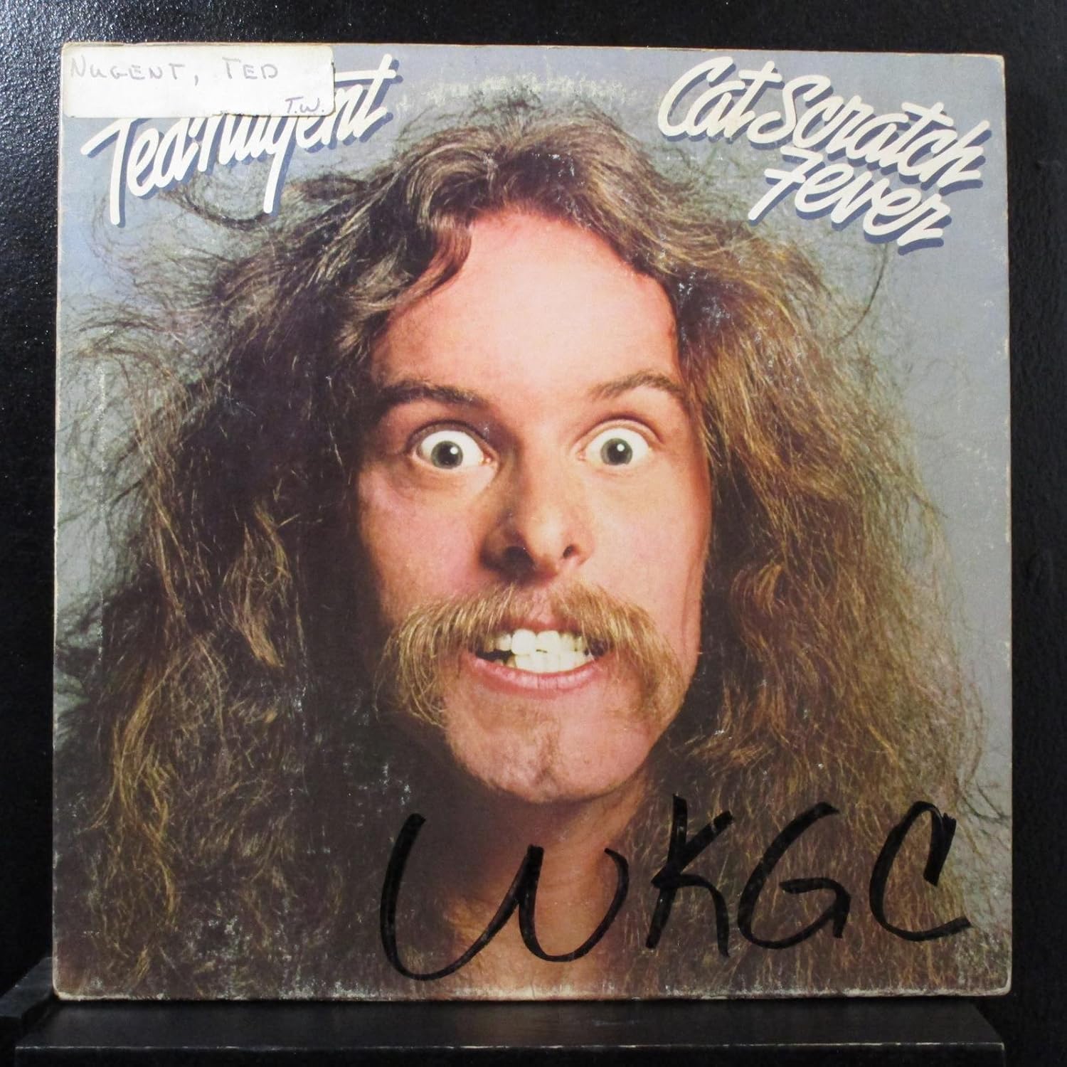Ted Nugent Cat Scratch Fever (vinyl) Original 1977 Music