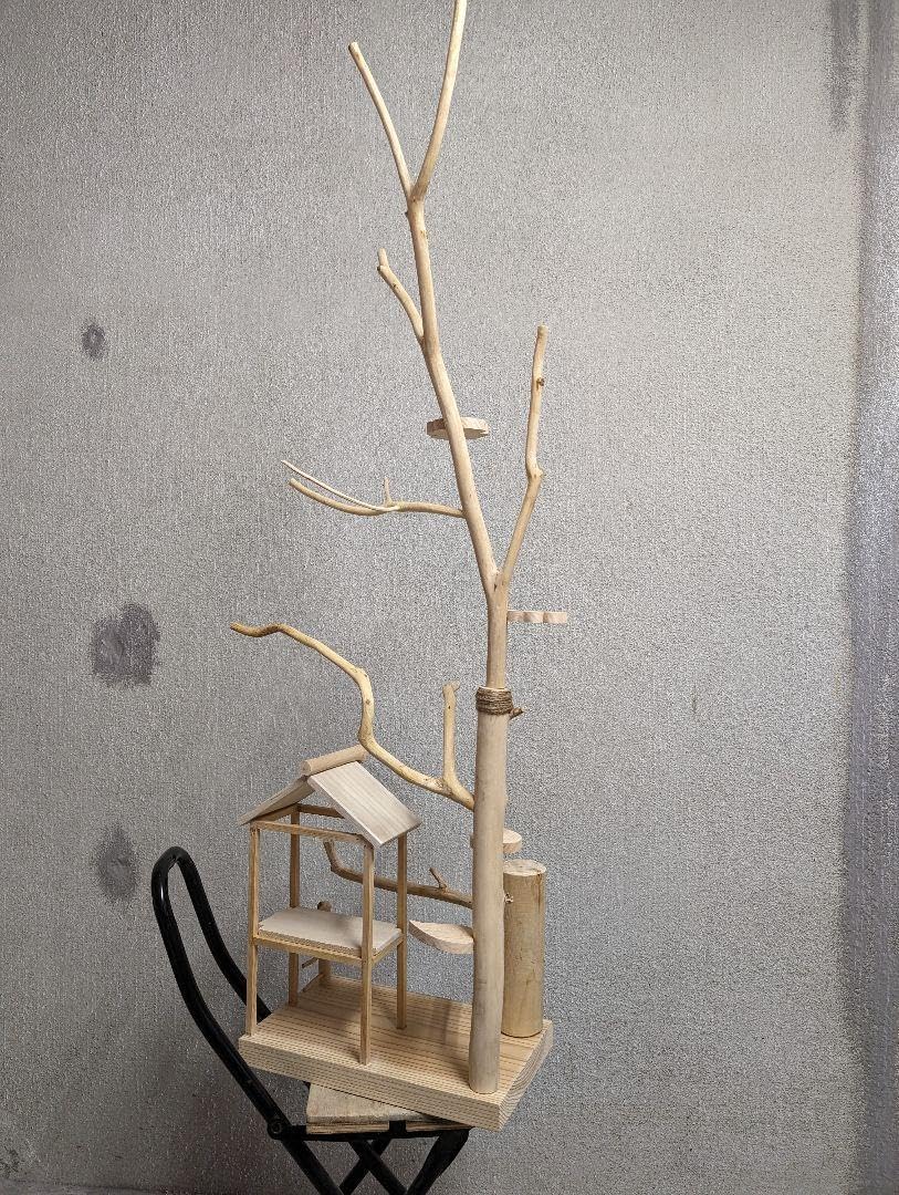 Amazon.co.jp: 止まり木26 バードアスレチック : ペット用品