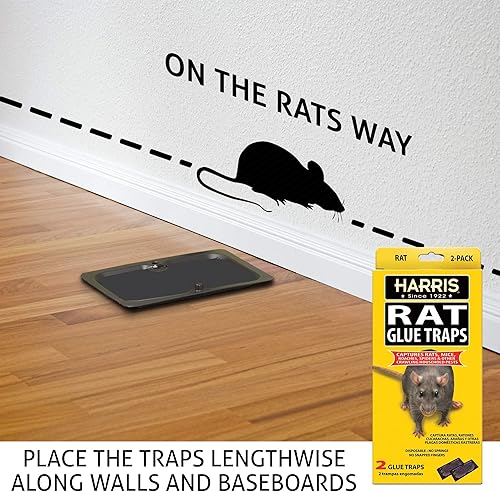 Miniatura 4 de Trampas de pegamento para ratas Harris, totalmente desechables (paquete de 2)
