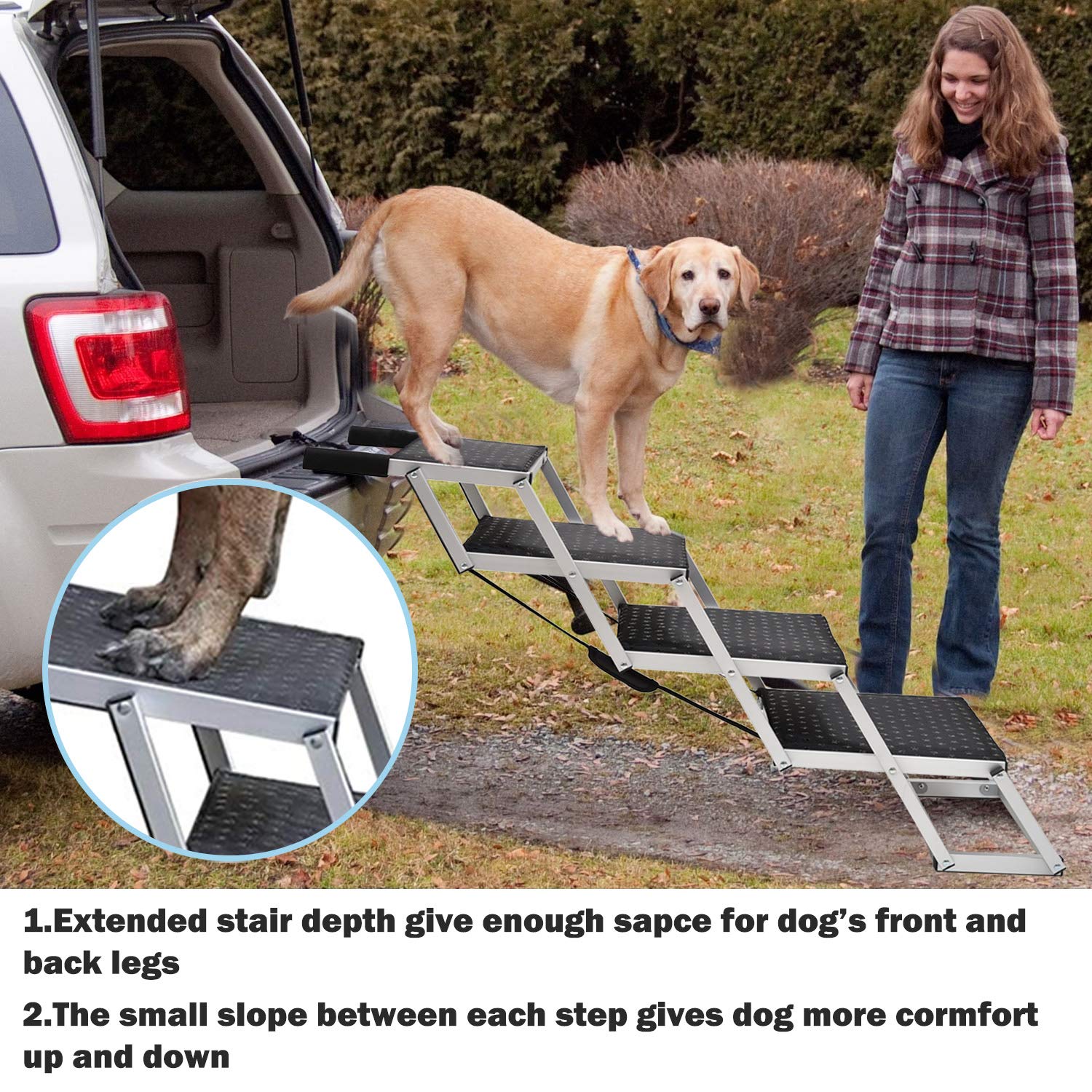 best algae eater for goldfish tank