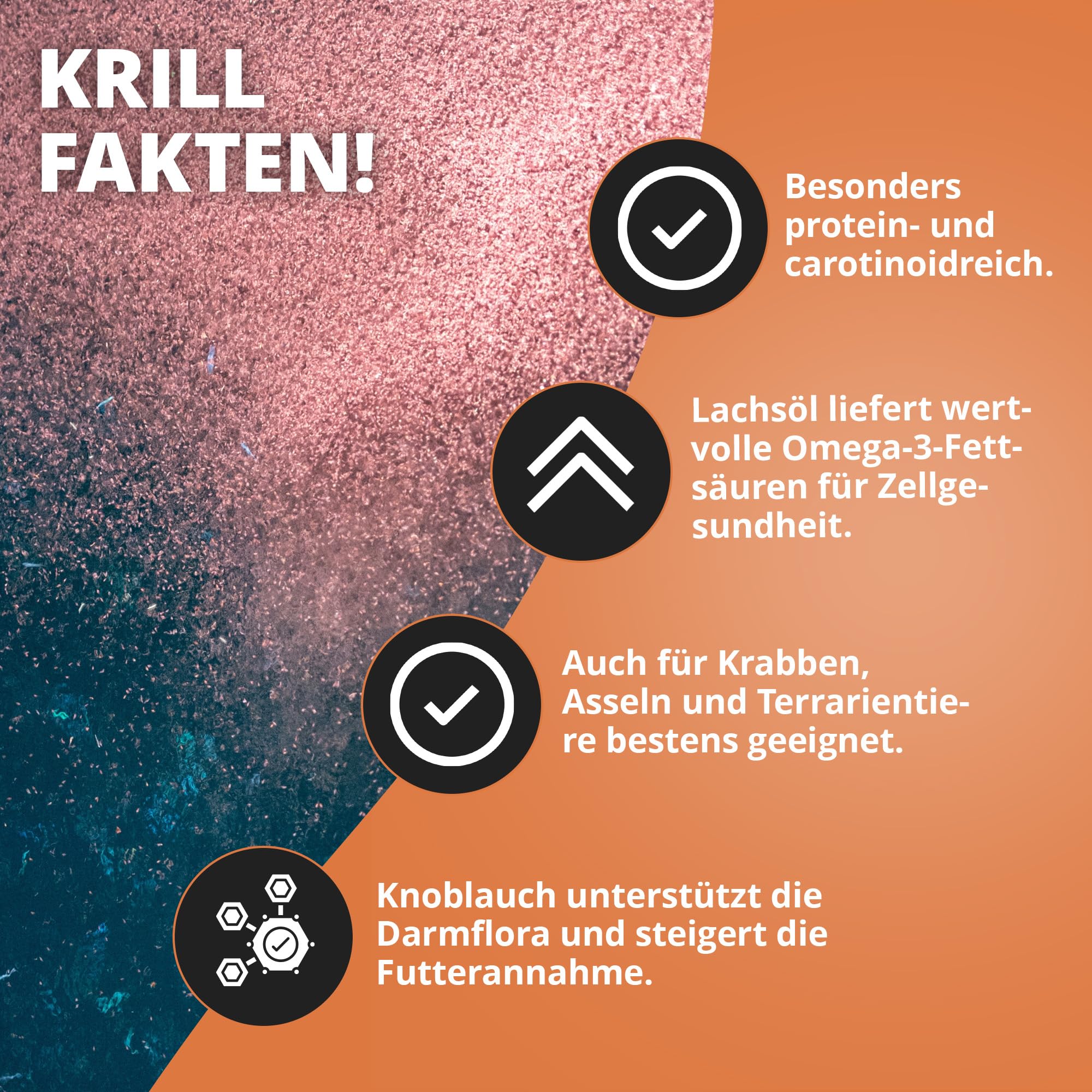NatureHolic Pure Flakes – Krill – Alta accettazione – oltre il 25% di krill – Per acquari d'acqua dolce – Prodotto a Mannheim NatureHolic Pure Flakes – Krill – Alta accettazione – oltre il 25% di krill – Per acquari d'acqua dolce – Prodotto a Mannheim