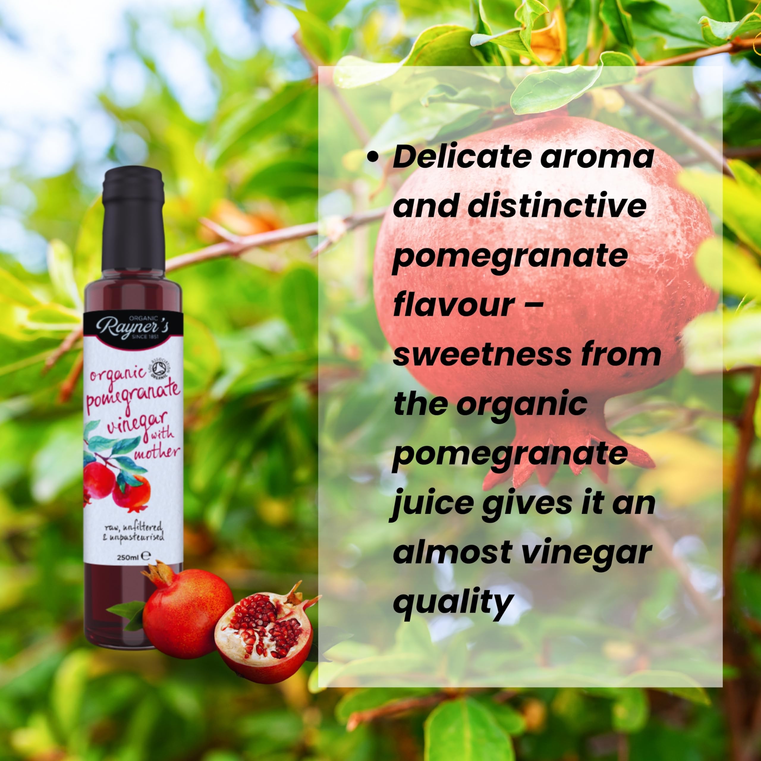 Rayners Essentials Organic Pomegranate Vinegar Mother 250ml (Case of 6)