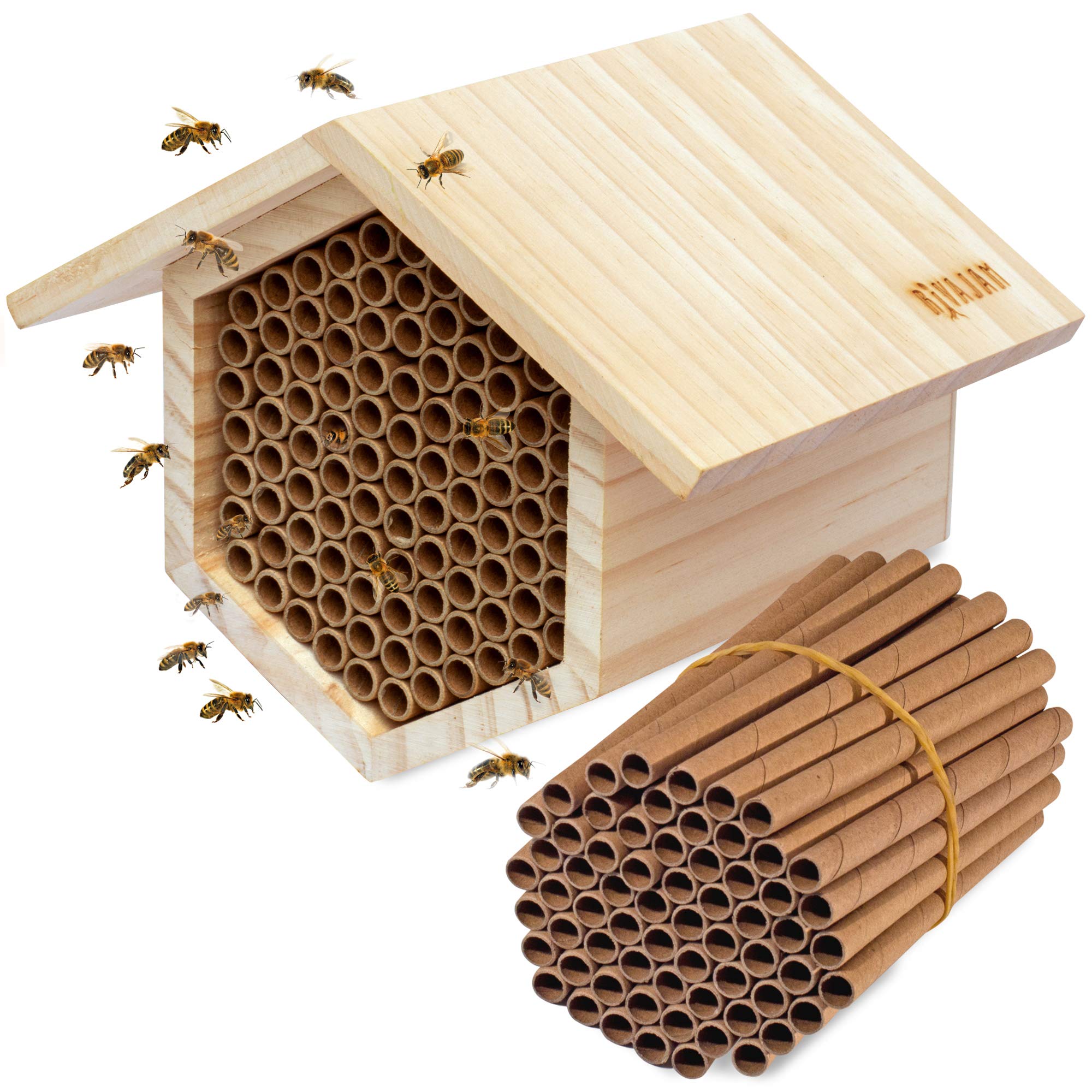 Buy Rivajam Mason Bee House 2023 Design Wax Coated Nesting Bee Box 95