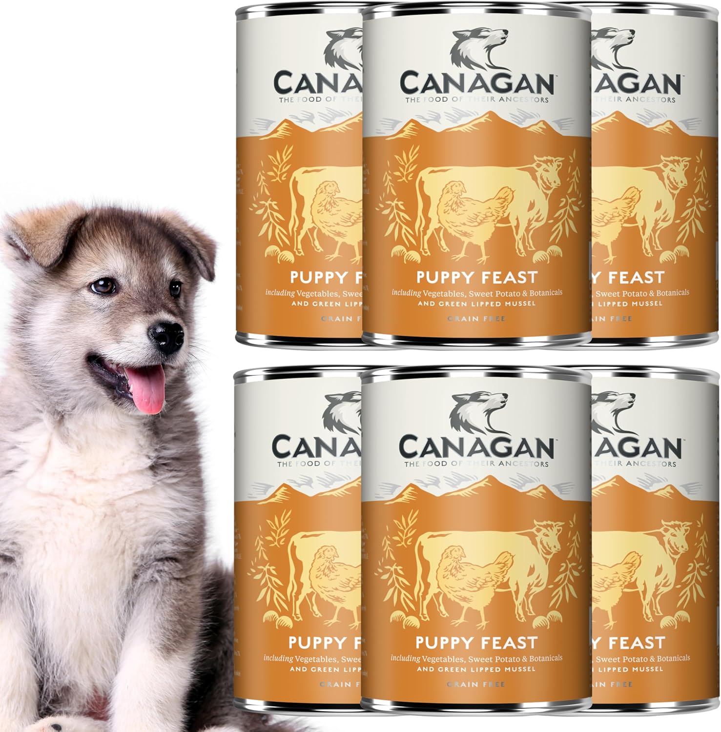 カナガン ドッグフード チキン&ビーフ 子犬用 缶詰