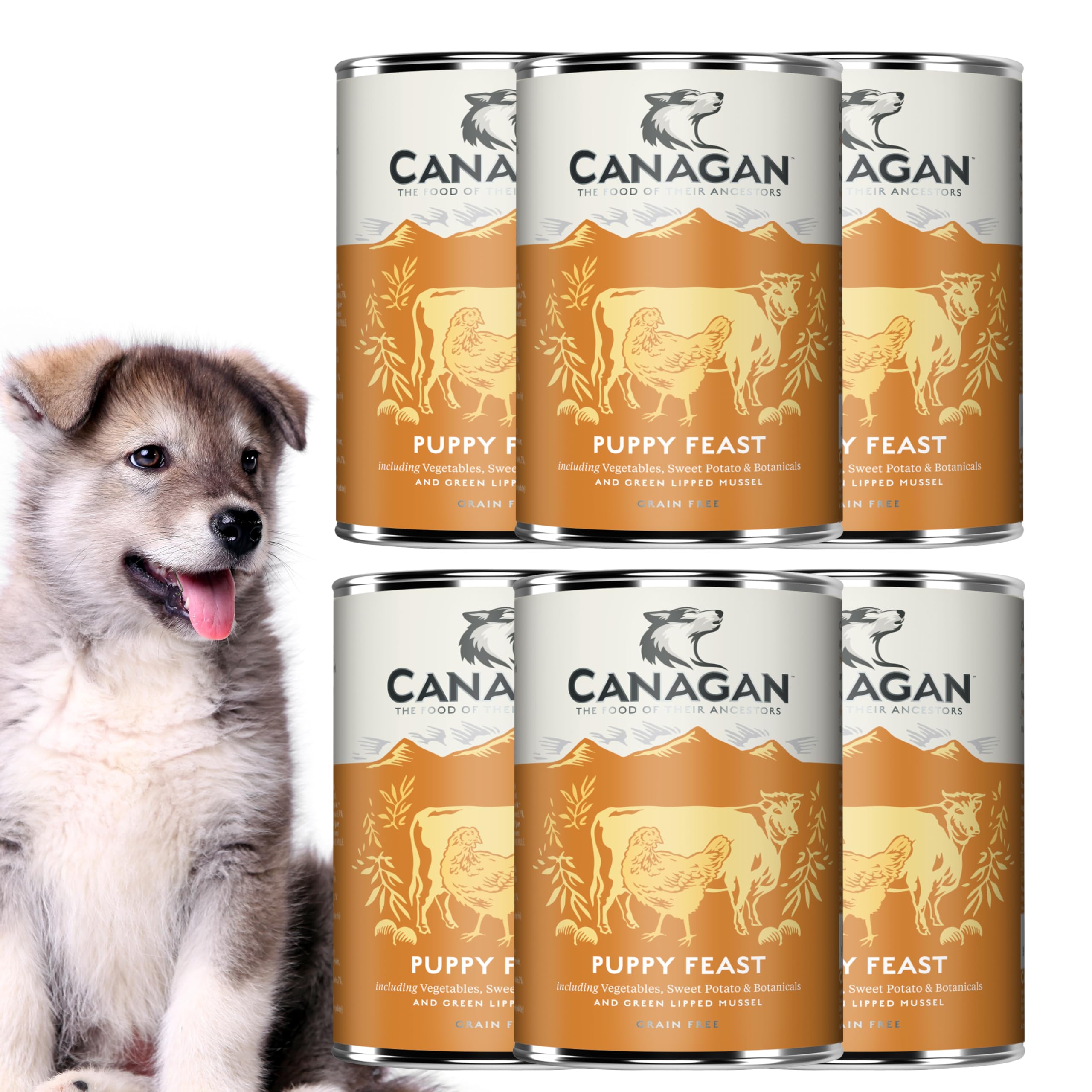 CANAGAN グレインフリードッグフード 400g x 6缶 Amazon.co.jp: カナガン ドッグフード チキン＆ビーフ 缶詰 （400g×6缶