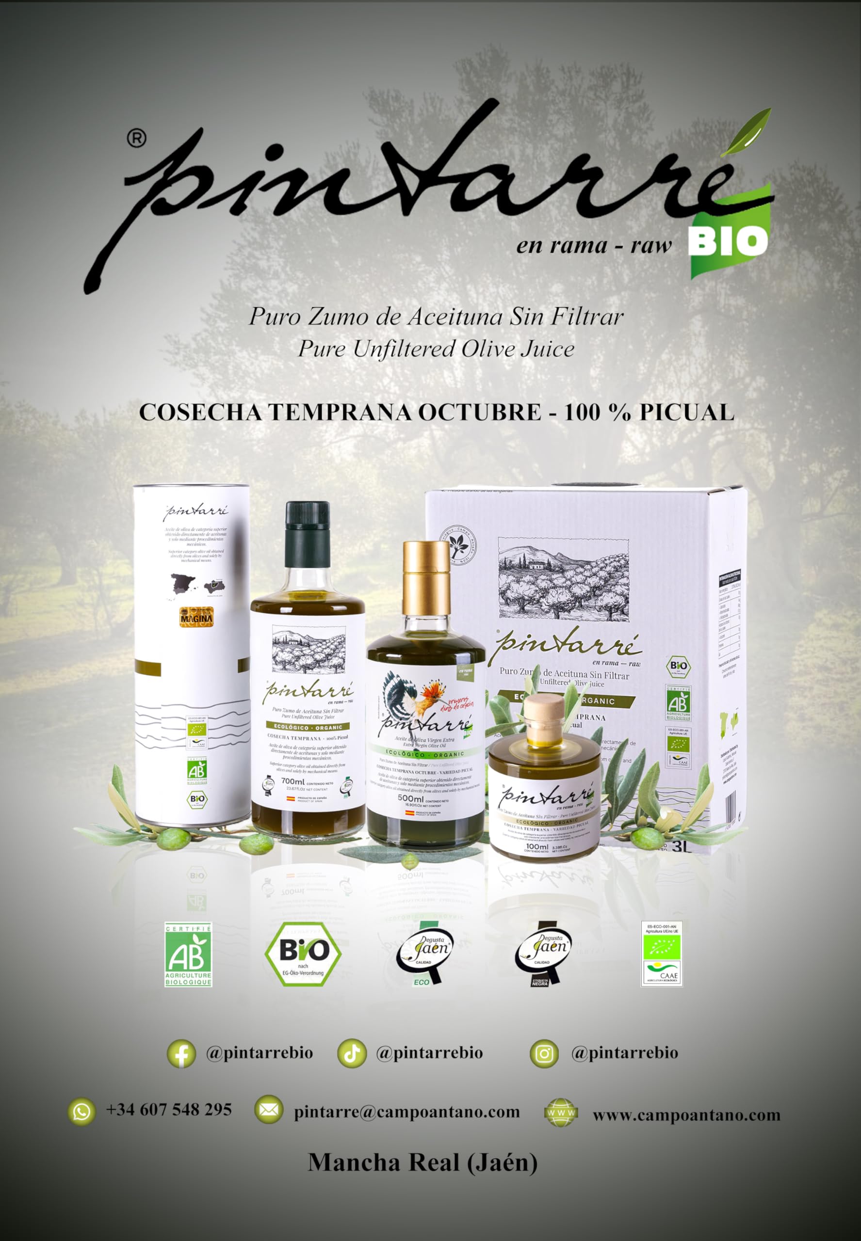 Pintarré | Mermelada de AOVE Ecológico con Naranja - Tarro 220 gr.
