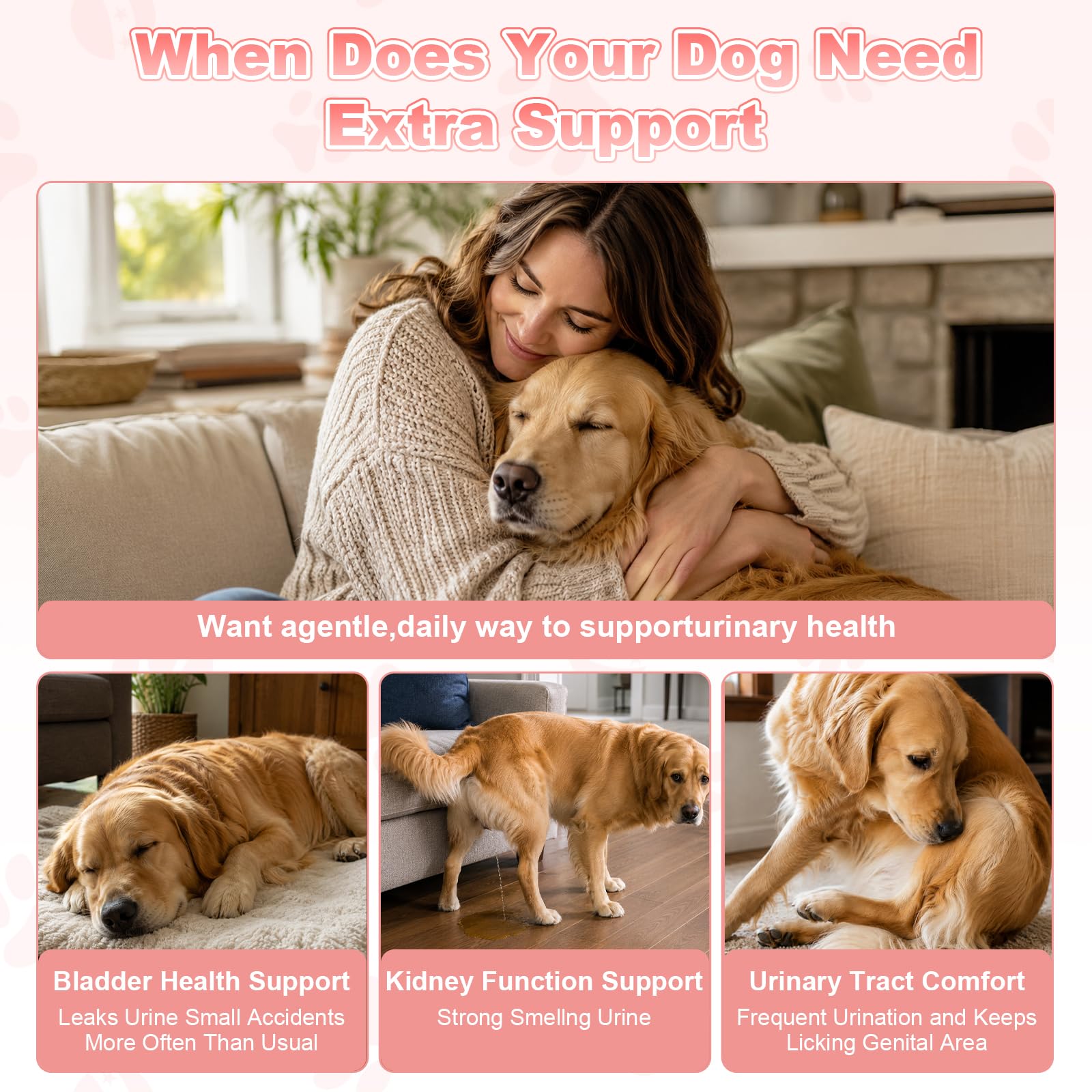 Dog UTI Treatment, Cranberry Supplement for Dogs,120 Chew,10 UTI Test Strip — Amazon image 8