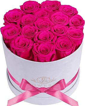 17 Flowers in a Luxury Suede Box, Birthday Gifts for Women, Preserved Flowers, Mothers Day Roses Gift for Mom, Hot Pink