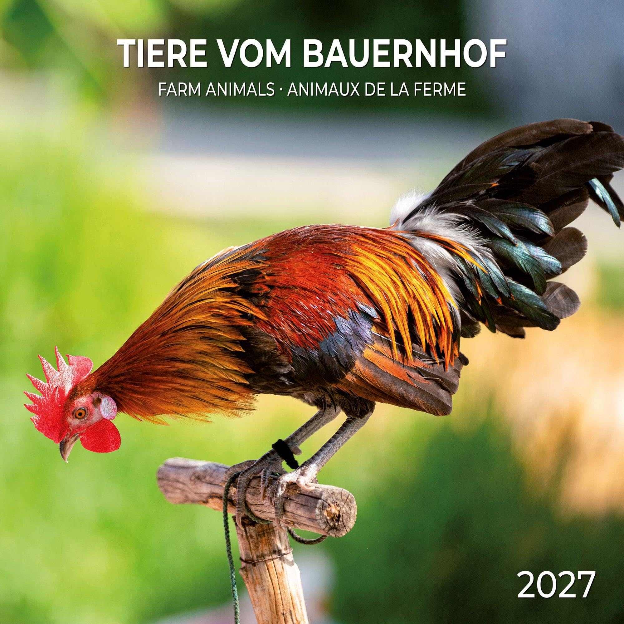 Tiere vom Bauernhof / Farm Animals 2027: Kalender 2027