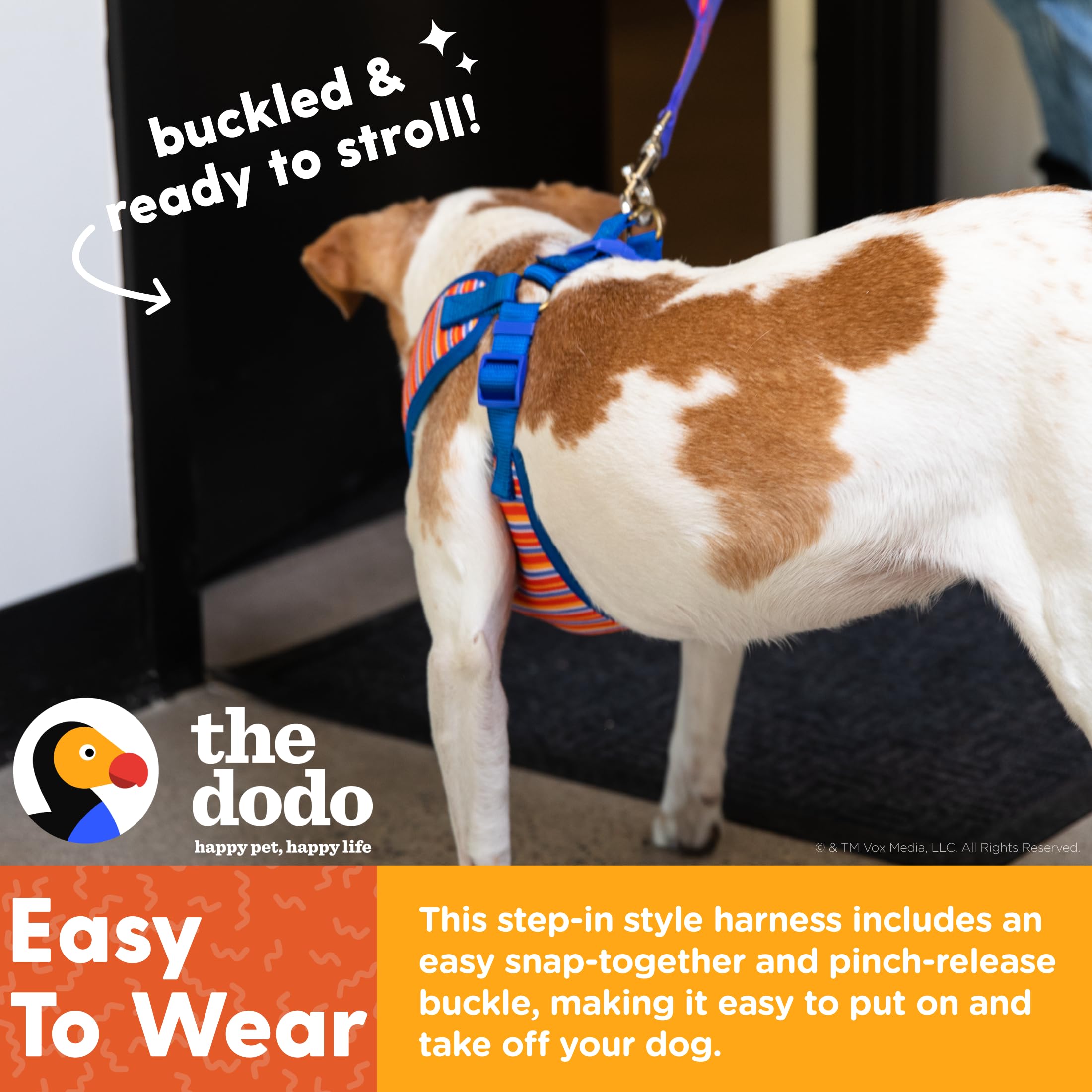 The Dodo Hundegeschirr – Step-in Design, Atmungsaktiv, Mit Schnappverschluss, Blau