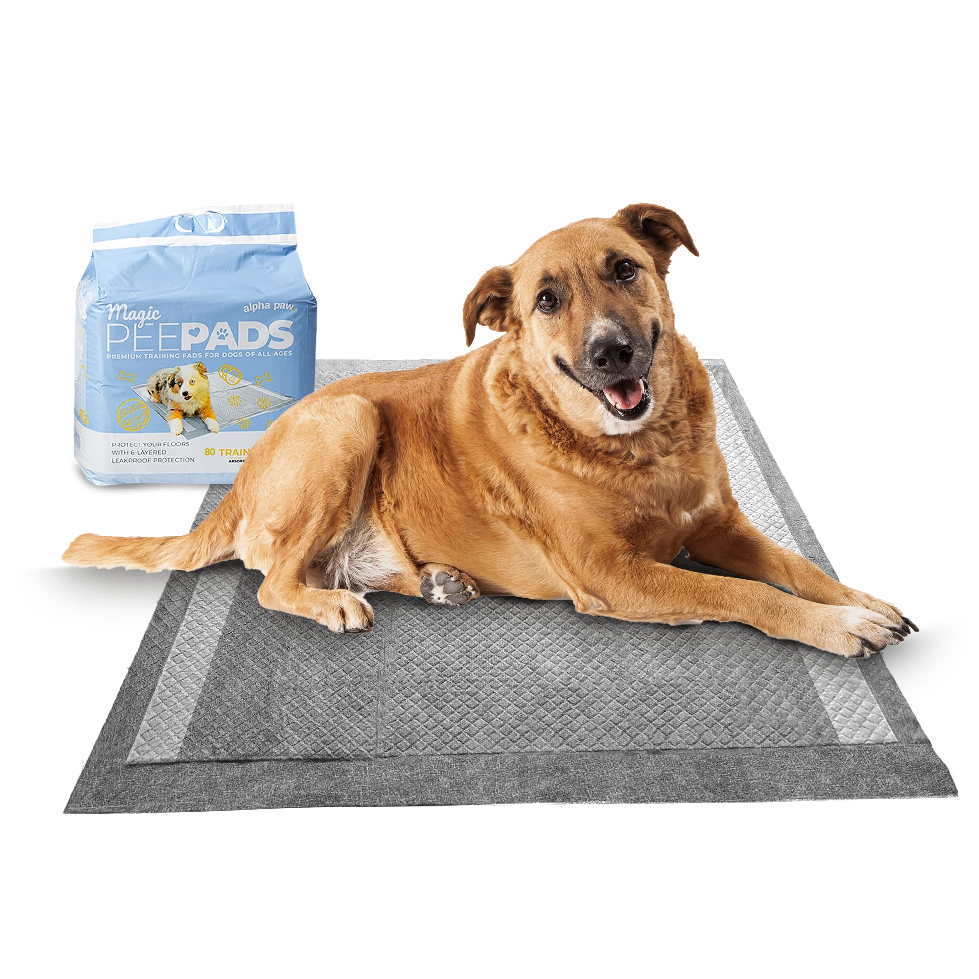 Why Is My Dog Peeing On My Pillow