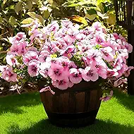 Fanfantoey Artificial Flowers for Outdoors,UV Resistant Fake Flowers Silk Pansy for Outside Porch Yard Patio Home Decor