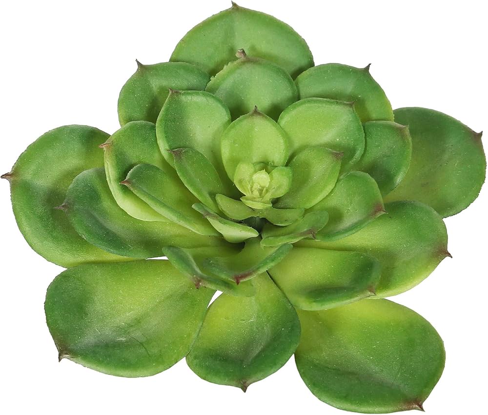 Amazon｜Vickerman Everyday 7インチ 屋内人工グリーン多肉植物茎