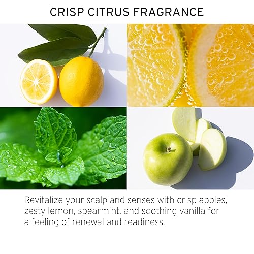 Miniatura 5 de Fekkai Exfoliante desintoxicante de sidra de manzana, 7.5 onzas, tratamiento previo al champú, grado de salón, compatible con EWG, vegano y libre de