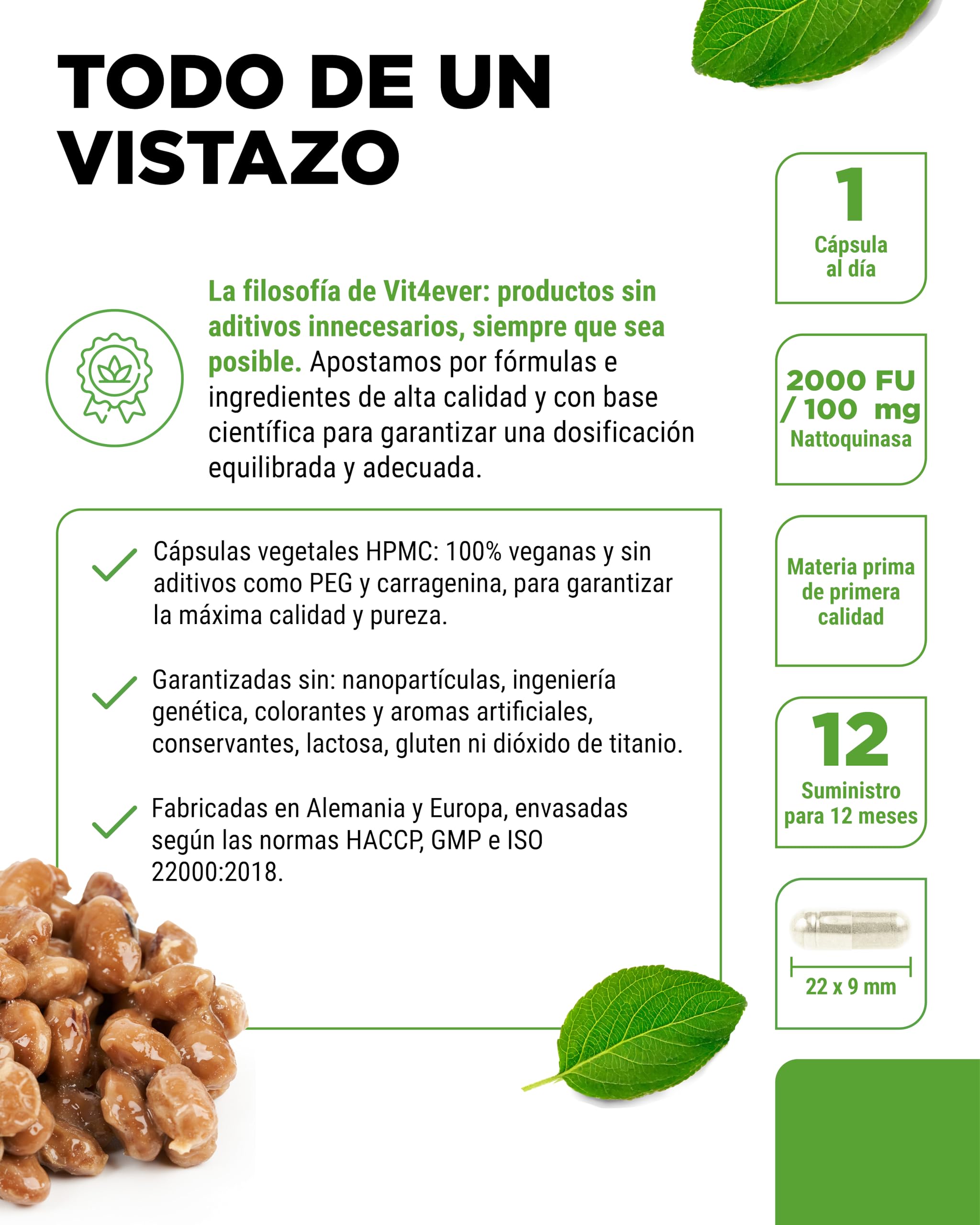 vit4ever Nattokinase - 365 Cápsulas de 100 mg Nattoquinasa (20.000 FU/g) - Suministro para 12 Meses - Alta Dosis - Vegano - Sin OMG - Sin Aditivos No Deseados