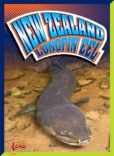 New Zealand Longfin Eel (River Monsters)